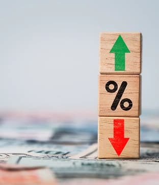 Foreign Direct Investment (FDI)